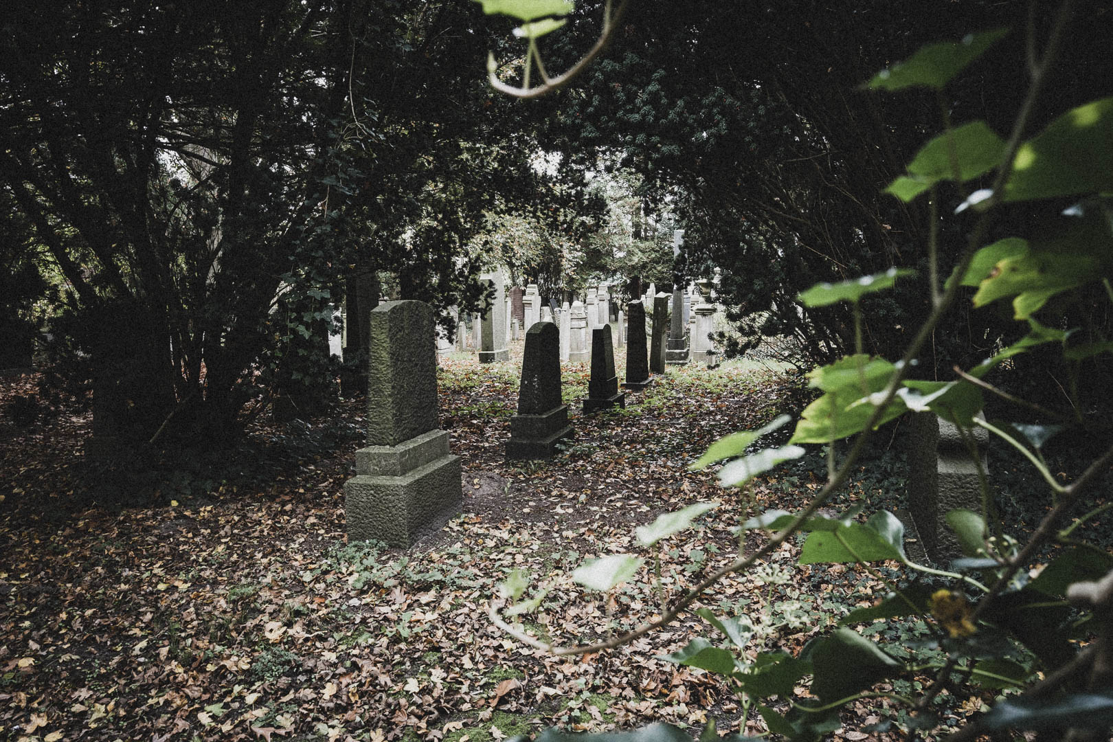 Jever, Jüdischer Friedhof